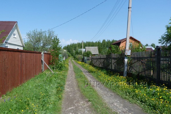 садовое_товарищество_хлеб_и_садко_31.JPG