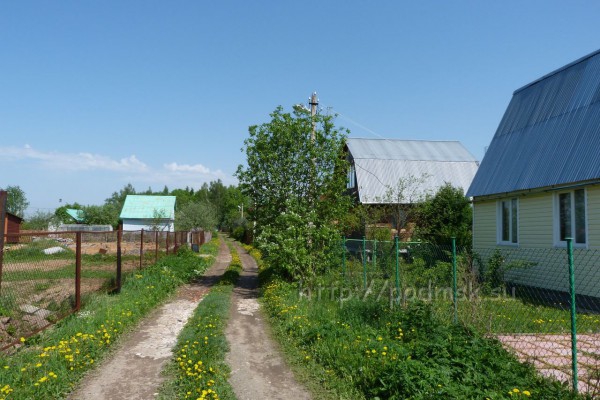 садовое_товарищество_хлеб_и_садко_22.JPG