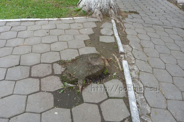 Дзержинский_P1010937.JPG